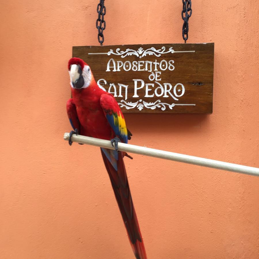 Aposentos De San Pedro Ξενοδοχείο Cartagena Εξωτερικό φωτογραφία